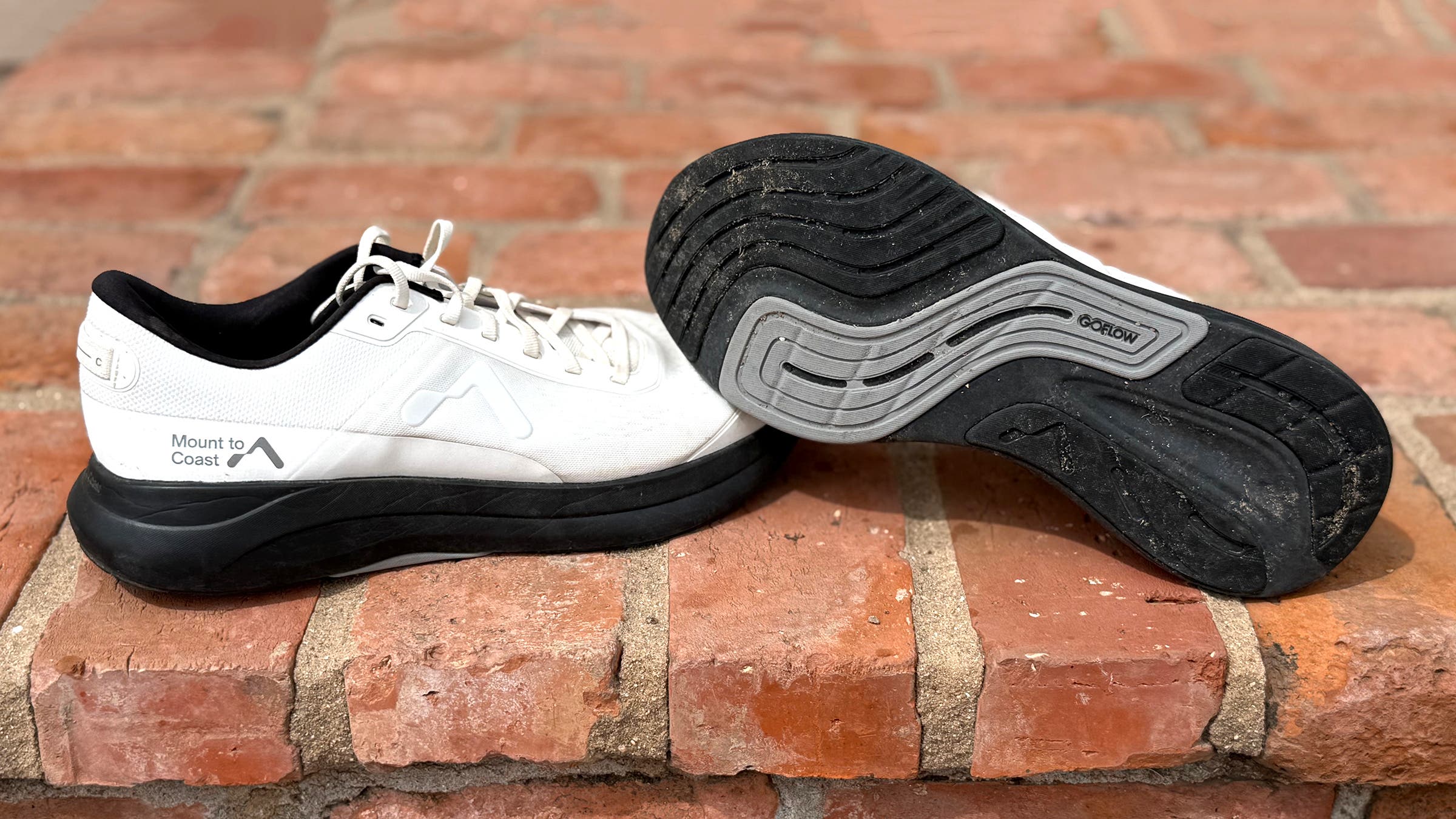 Mount to Coast P1 best stability running shoe for long distance