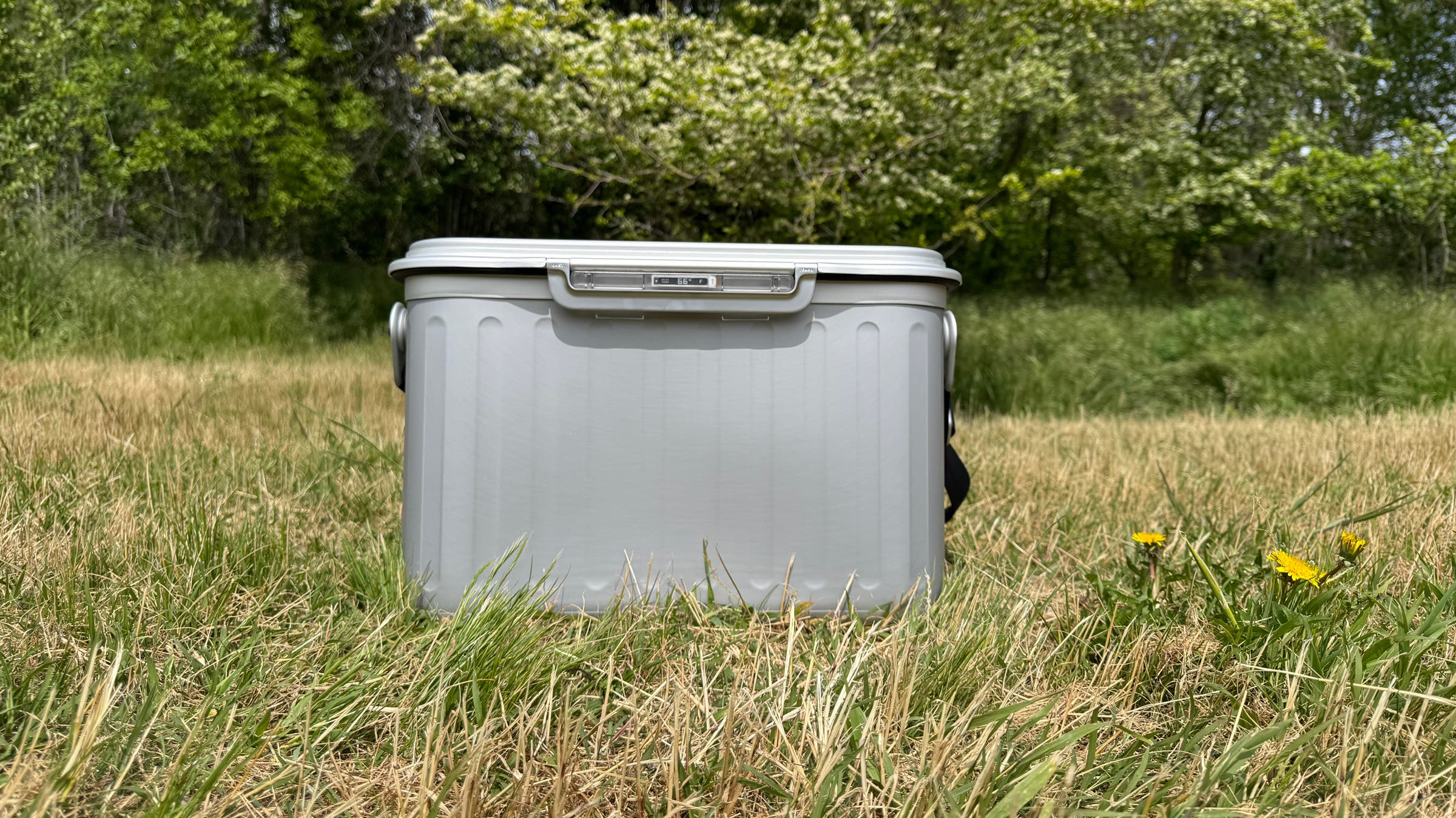 Oyster Tempo Pro best designed outdoor cooler