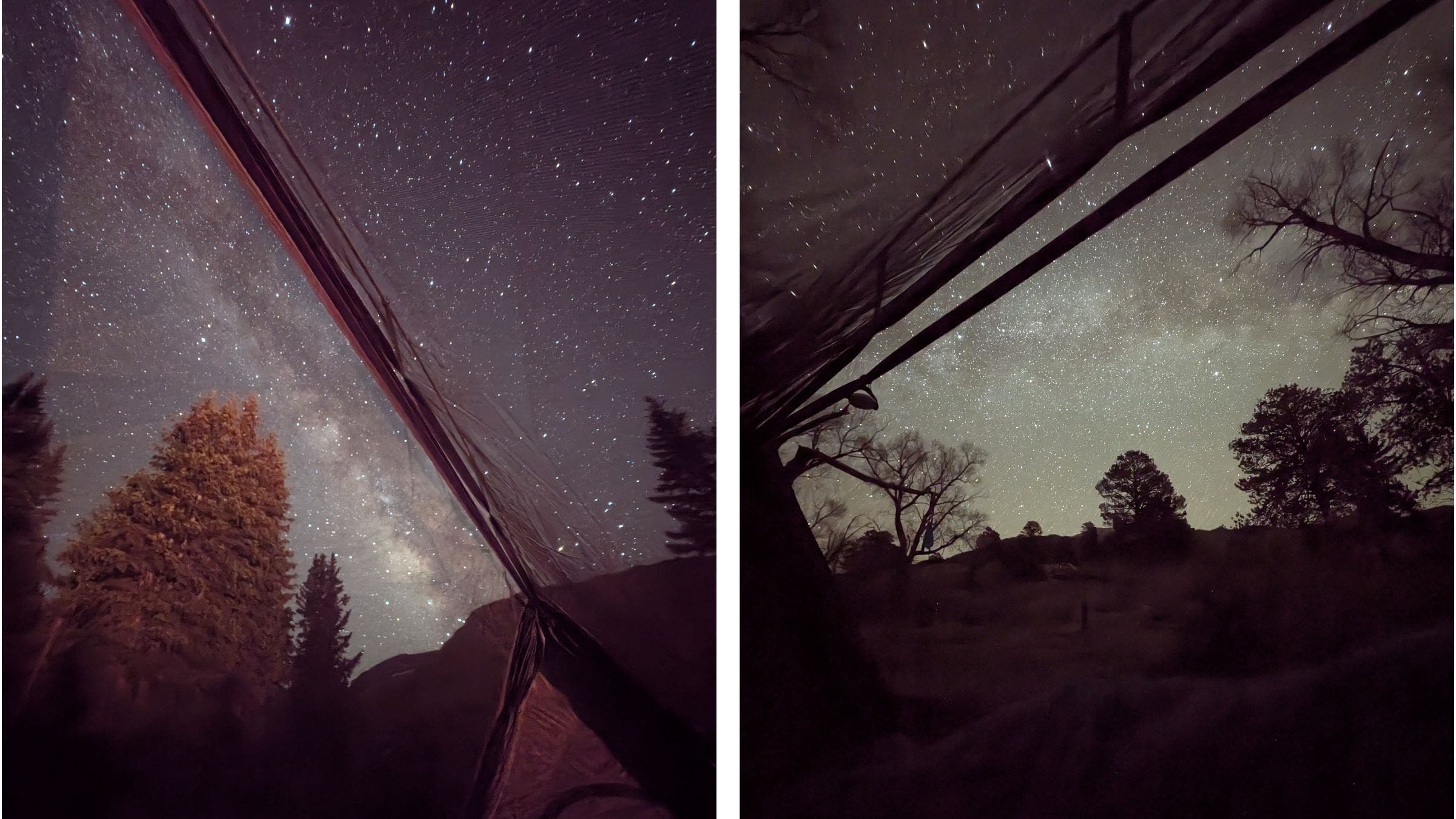 The interior of Sky View Tents, featuring its clear mesh