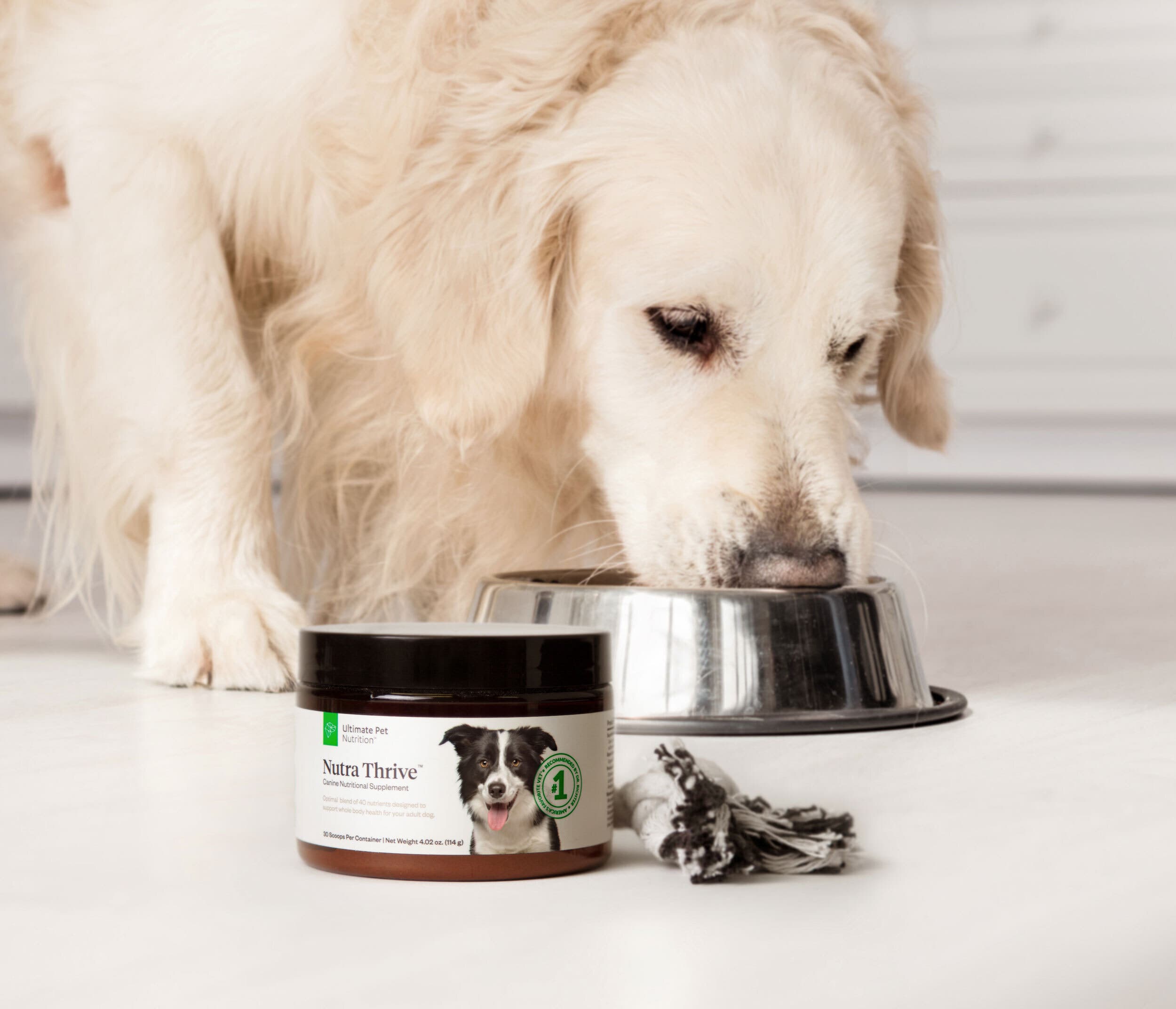 a white dog is shown eating out of a bowl with the nutra thrive supplement package in front