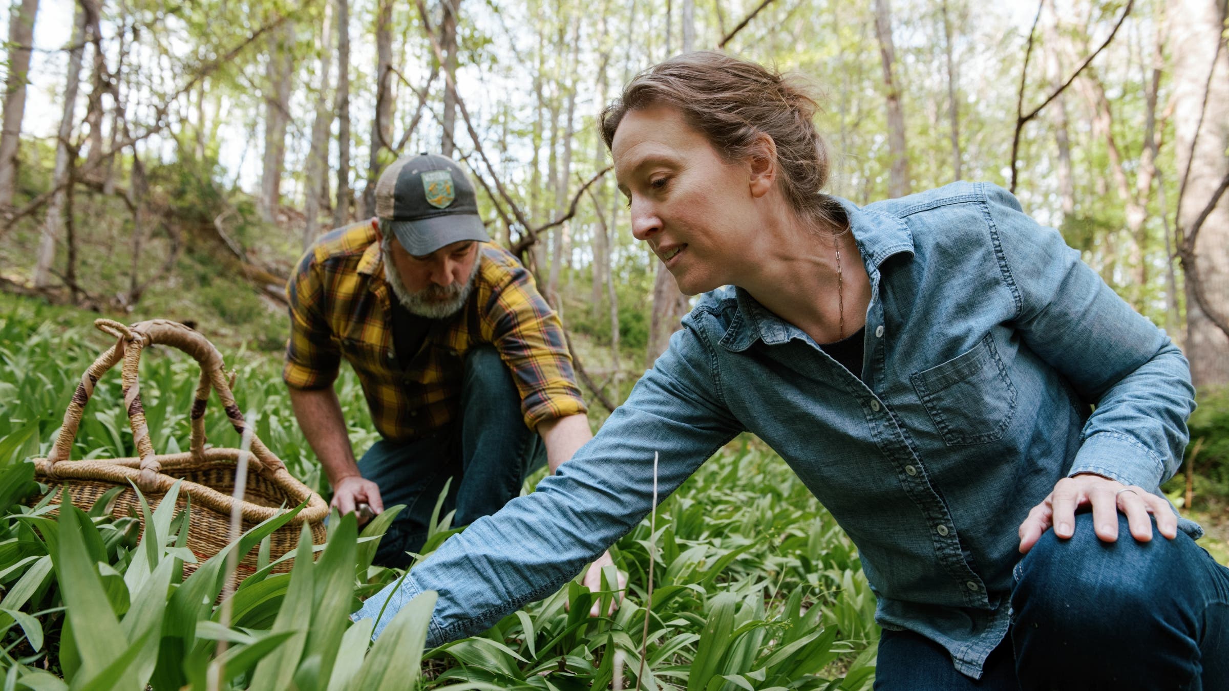 Two people foraging food in the woods.