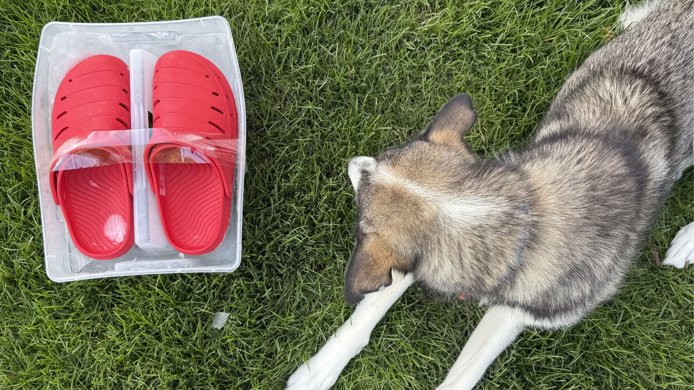 How to Try the Viral Ice-Shoe Trend