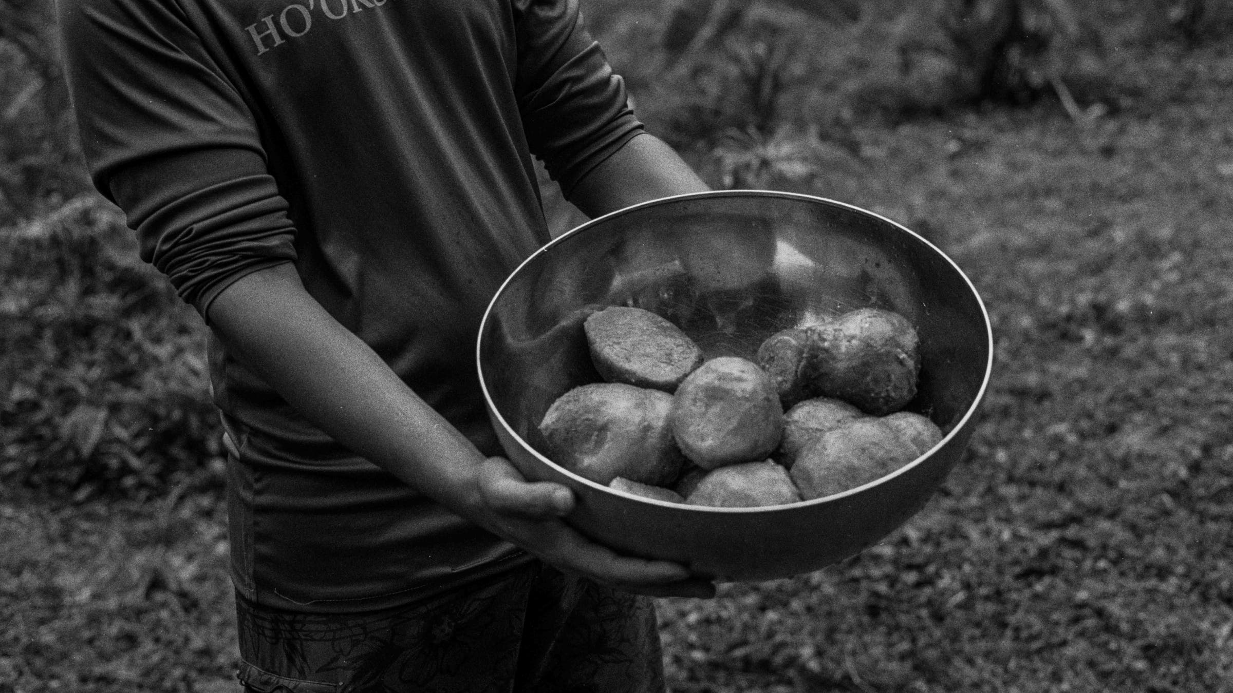 Hands holding a bowl of raw taro, grown as part of Hawaiian foodways restoration