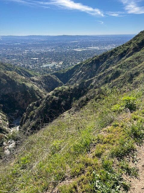 Los Angeles below a mountain trail