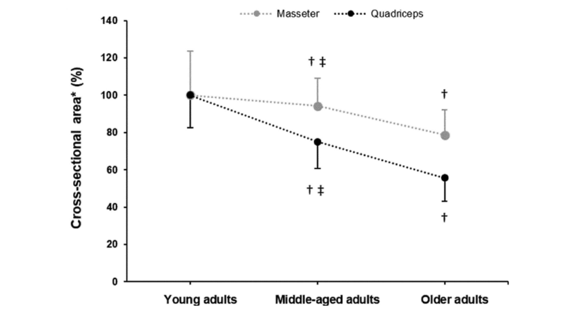 Muscle size declined more quickly for legs than jaws.