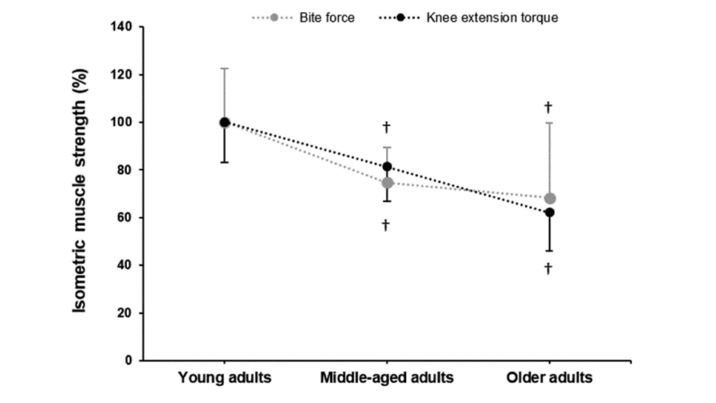 Strength declined at similar rates in leg and jaw muscles.