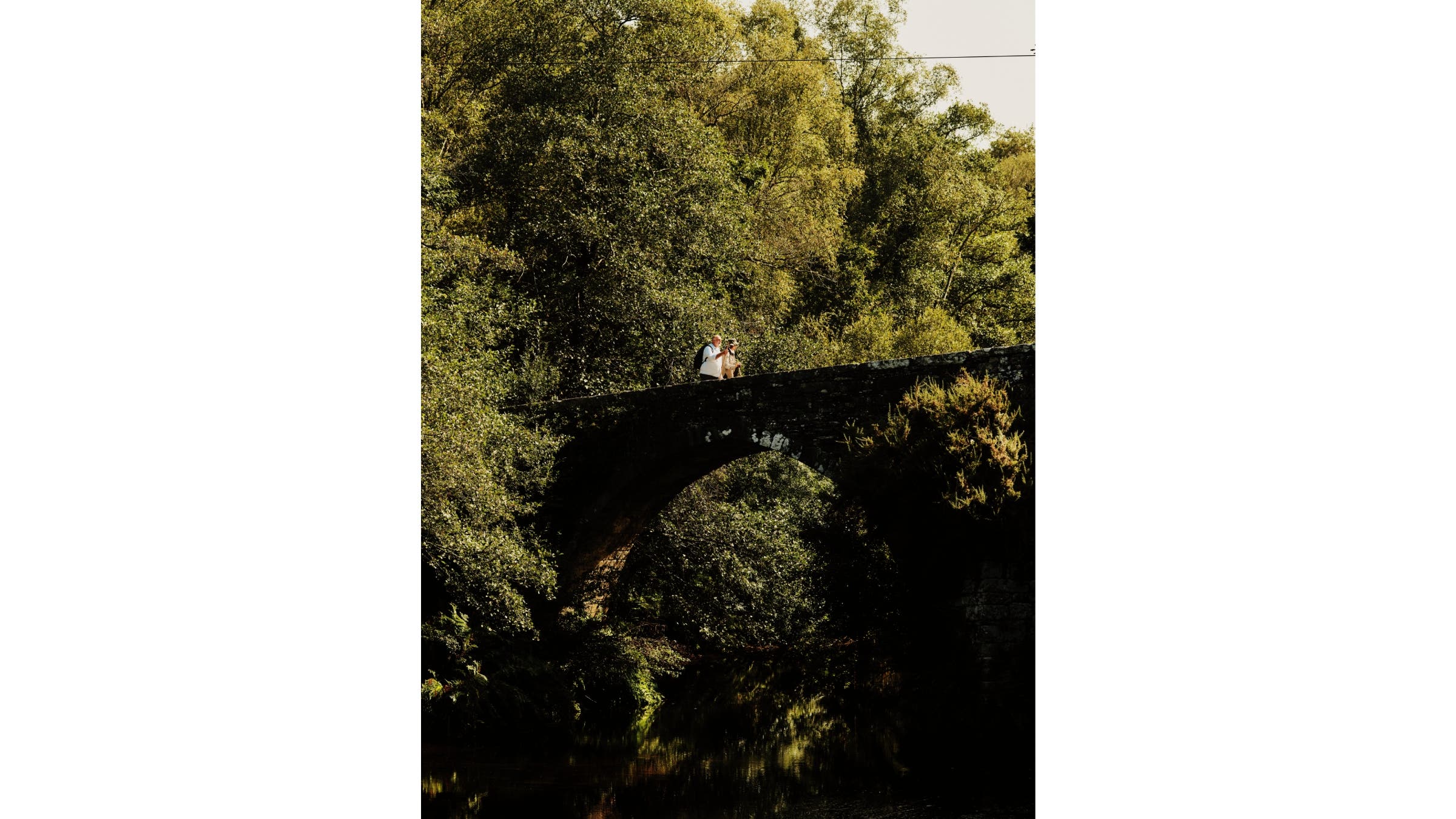 A couple crossing a high stone bridge in a wooded area.