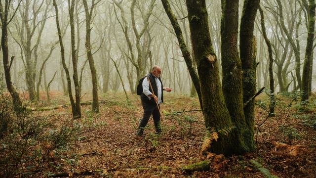 On the Camino de Santiago, José Andrés Recovers from the Weight of the World