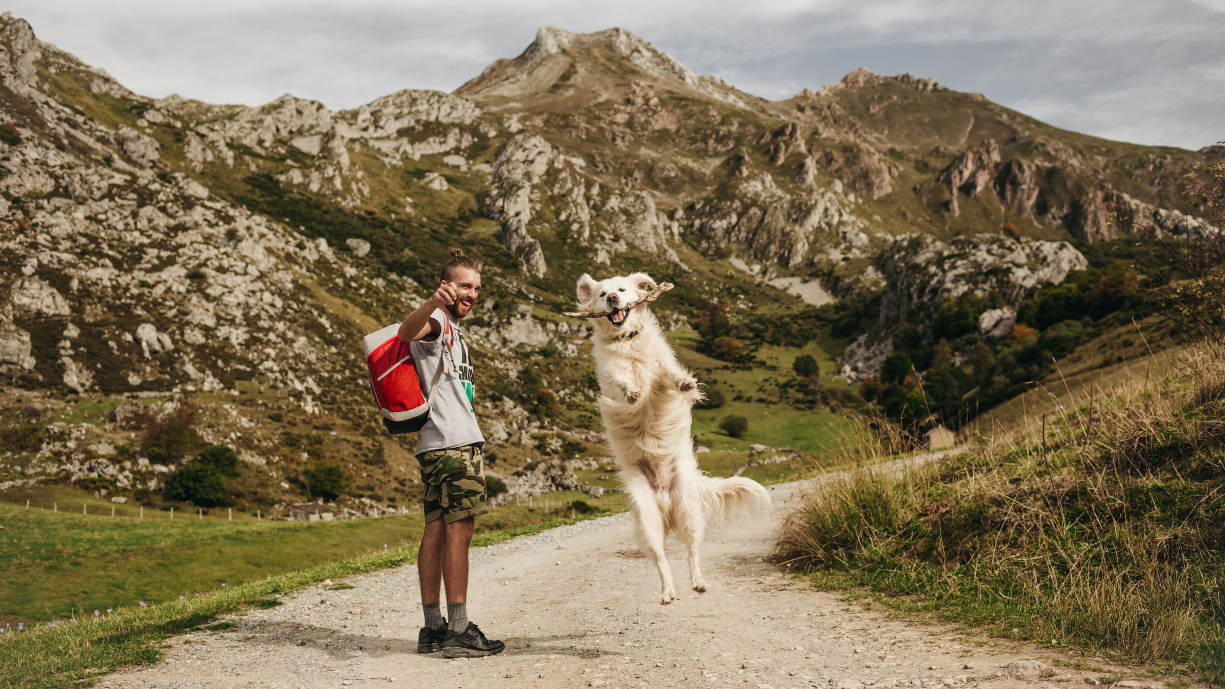 Off-Leash Dog Trails Are Vanishing. Here’s Where Your Dog Can Still Be Free.