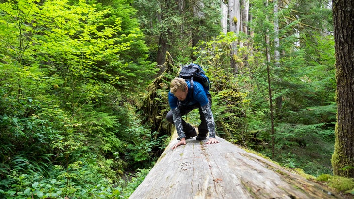 The author crawling across a large, fallen tree trunk.