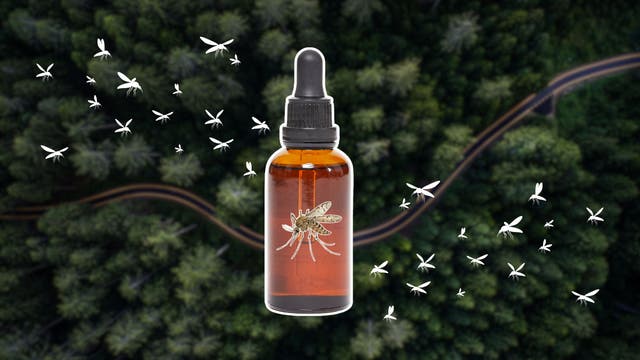 New Research Found a Natural Mosquito Repellent That Works as Well as DEET