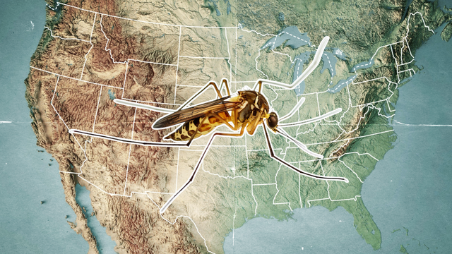 10 States Facing the Worst Mosquito Surges This Summer