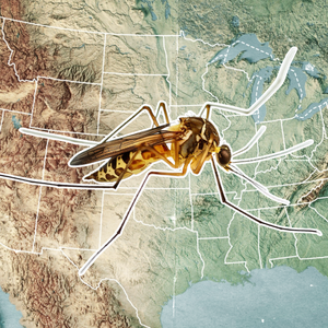 image of a mosquito over a topographic map of the united states