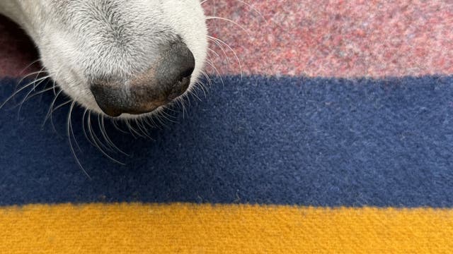 Your Favorite Technical Fabrics Are Shedding Microplastics. Try These 3 Alternatives Instead.