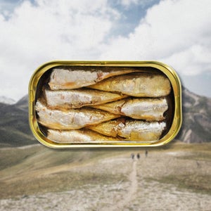 sardines in a gold can on an outdoor background