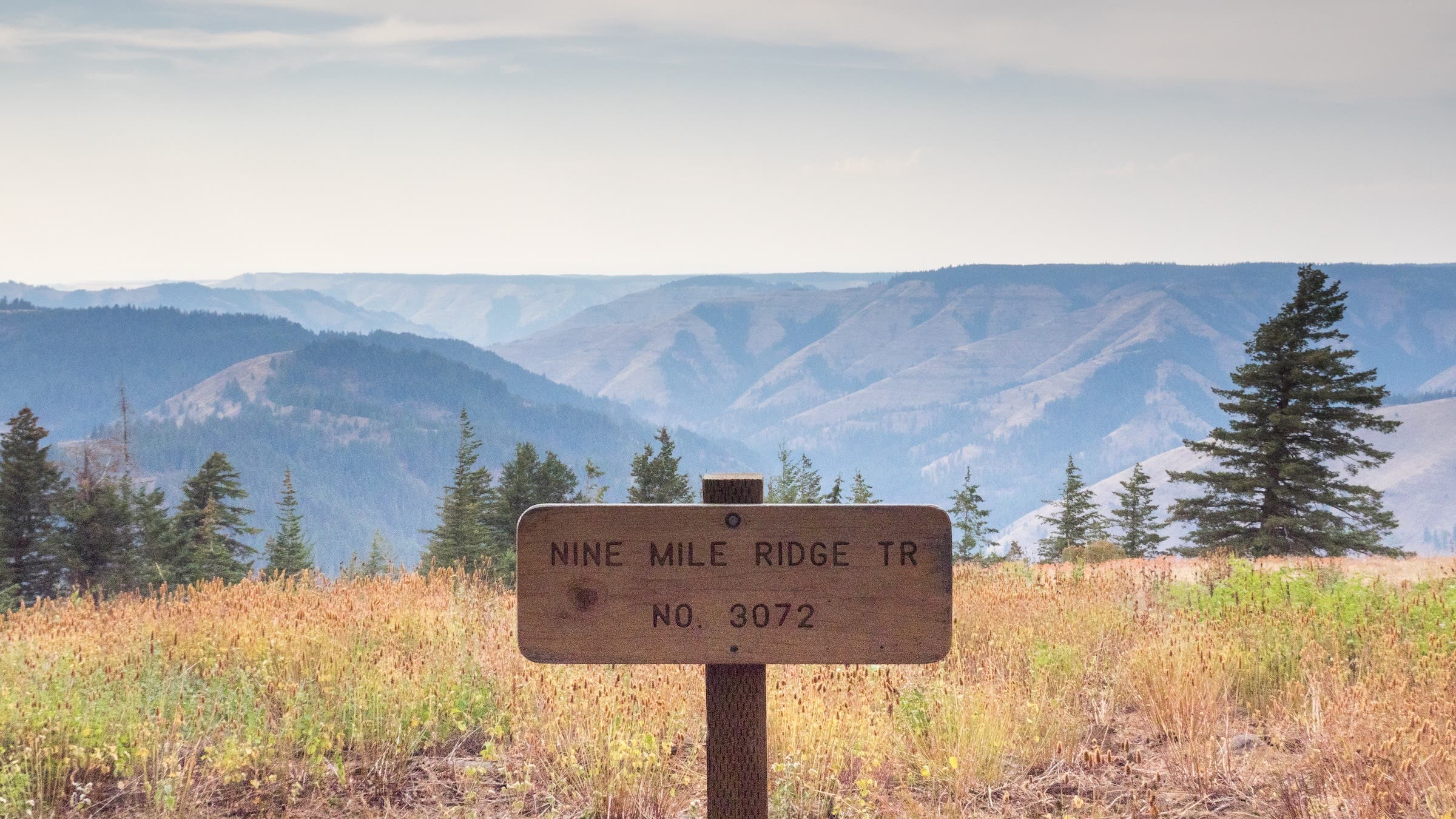 A trail junction on the Umatilla Rim Trail