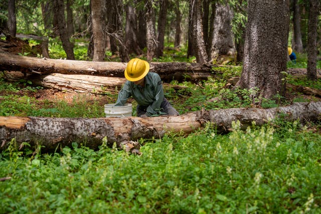 Hikers Keep Pooping Along a Pristine Colorado Trail. Now There's a Plan to Clean It Up.