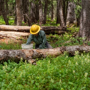 A trailworker is is shown picking things up off of the ground, behind a log and grassy field