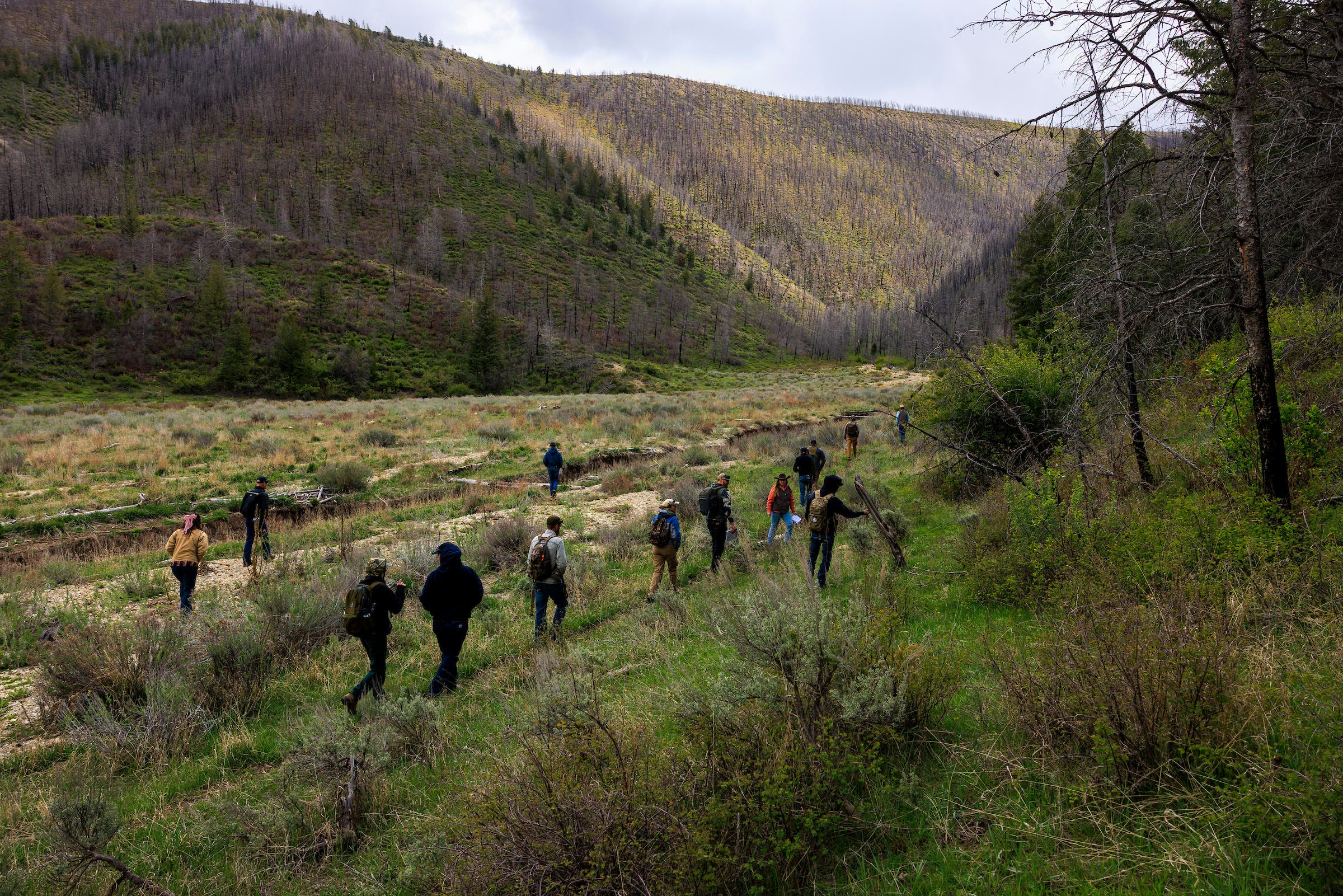 Members of the Colorado Range Rider program walk into the forest with CyberTracker instructors.