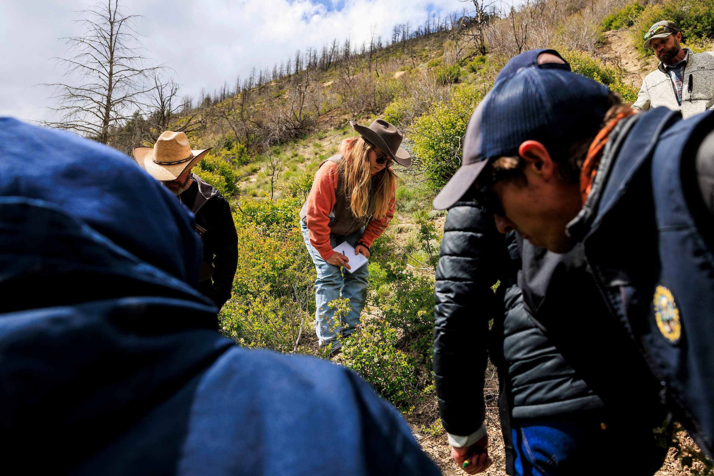 Colorado range rider Emma Baker, center, attempts to identify an animal print.