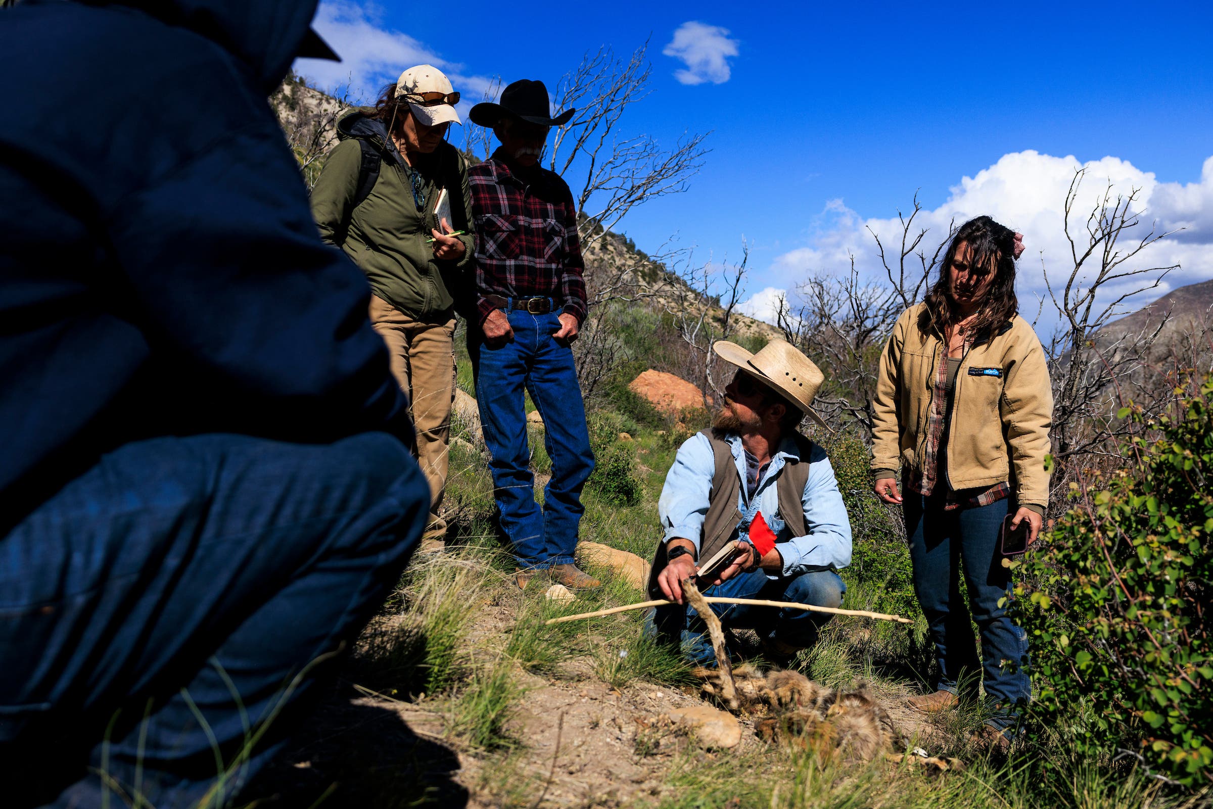CyberTracker evaluator Phil Johnston, second from right, shows how to identify a coyote carcass.