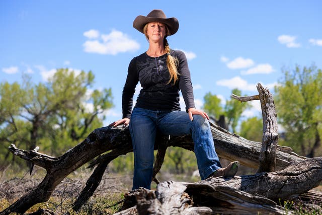 Colorado’s Wolf Reintroduction Hasn’t Gone to Plan. Are the New Midnight Cowboys Its Last Hope?