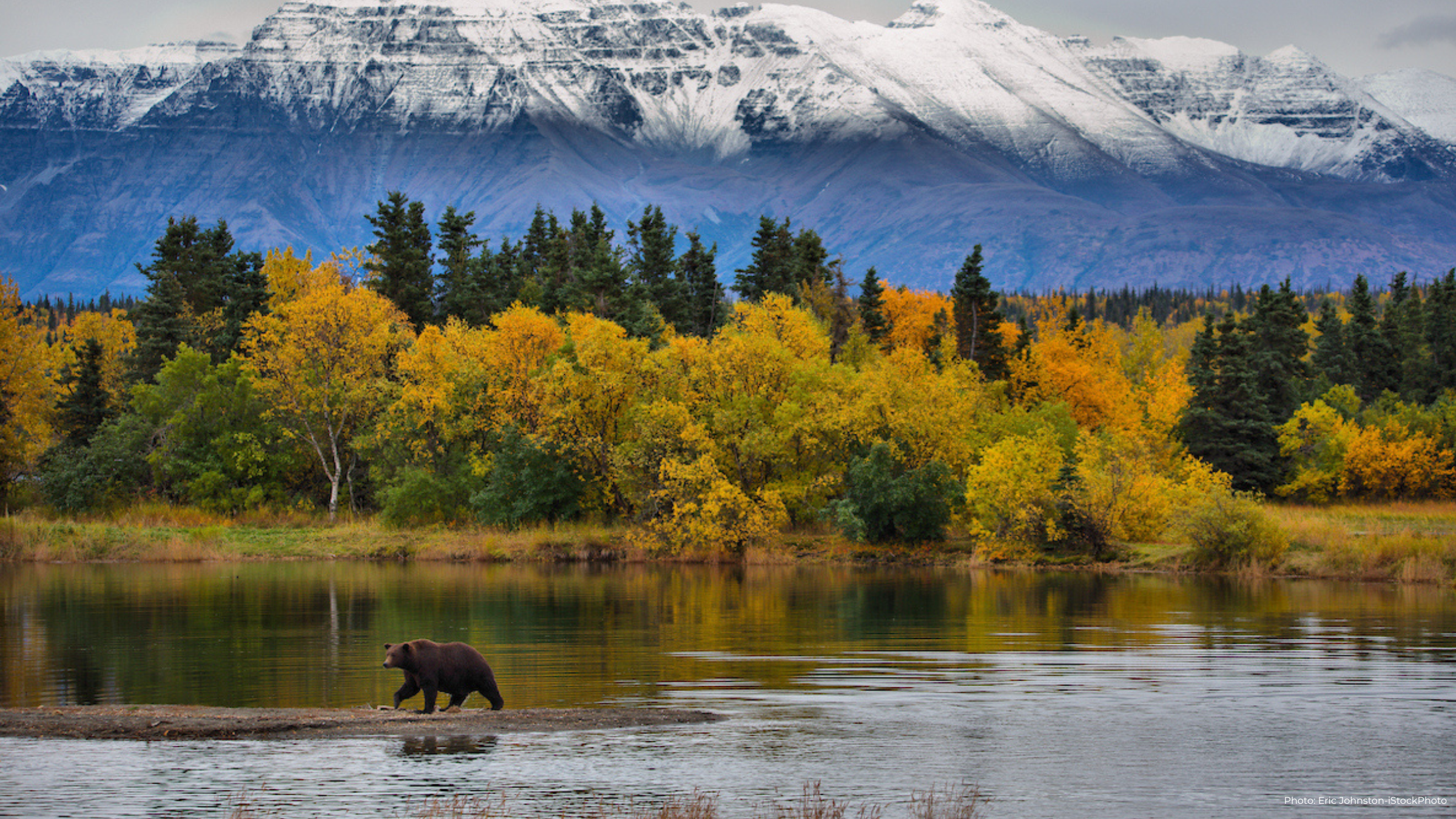 Defenders of Wildlife