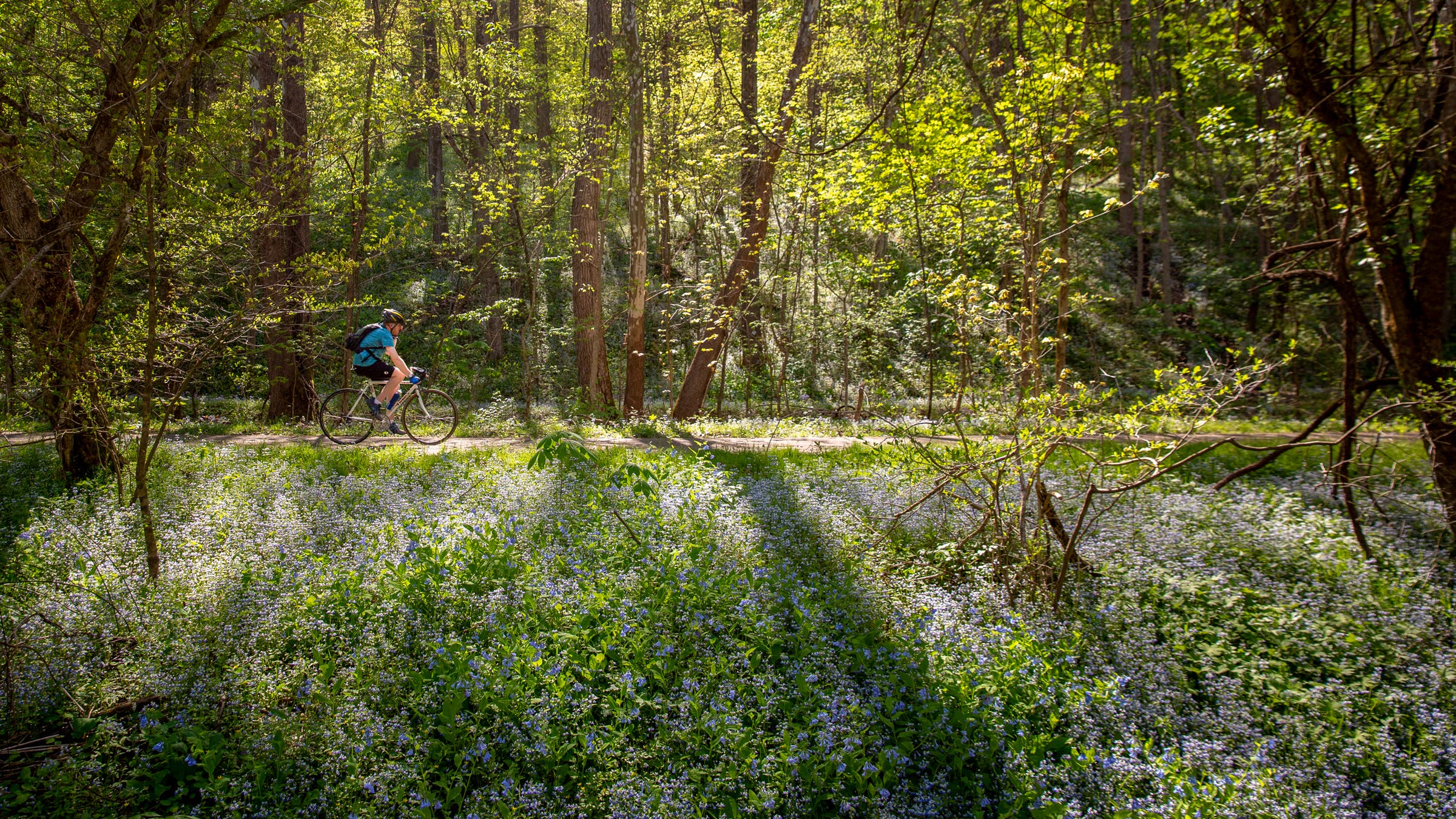 bikeway