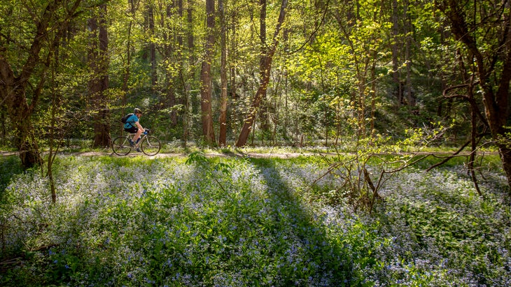 Bikeway