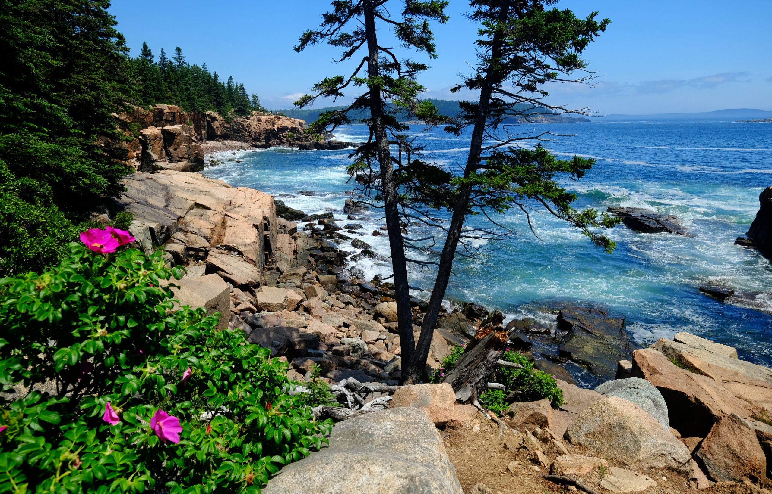 The beautiful and rugged rocky shoreline at Acadia National Park in Maine.