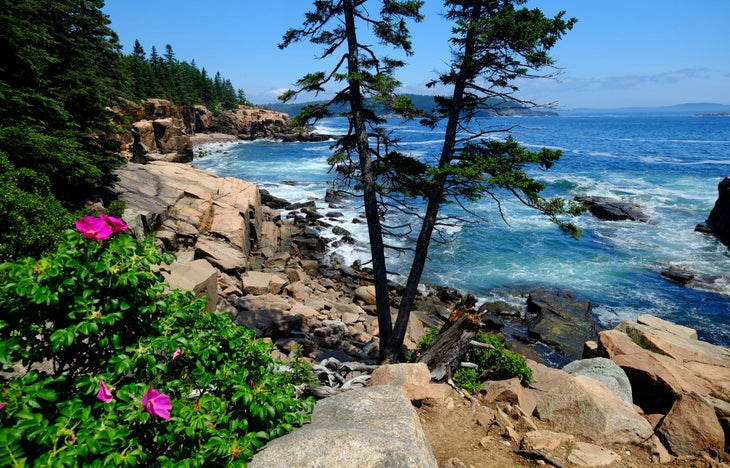 The beautiful and rugged rocky shoreline at Acadia National Park in Maine.