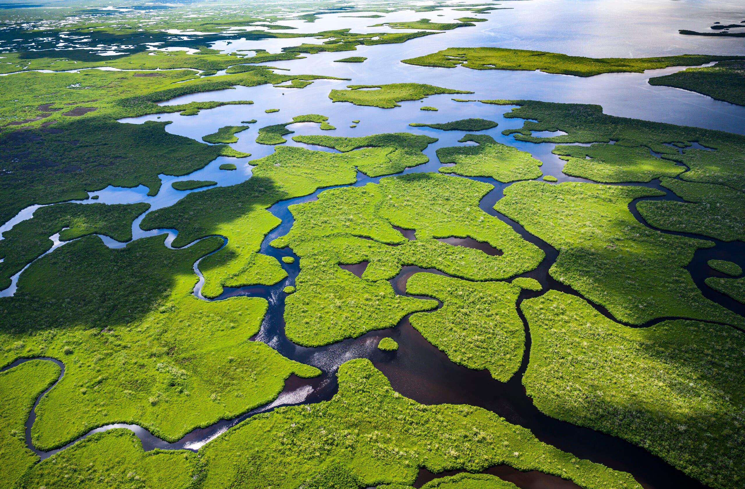 Everglades National Park in Florida, USA