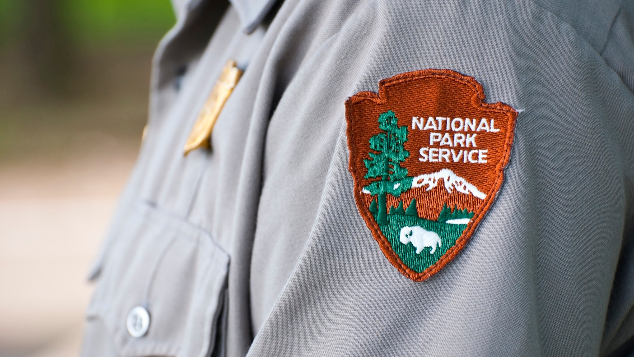 Shoulder patch emblem of the National Park Service, worn on the uniform of a park ranger