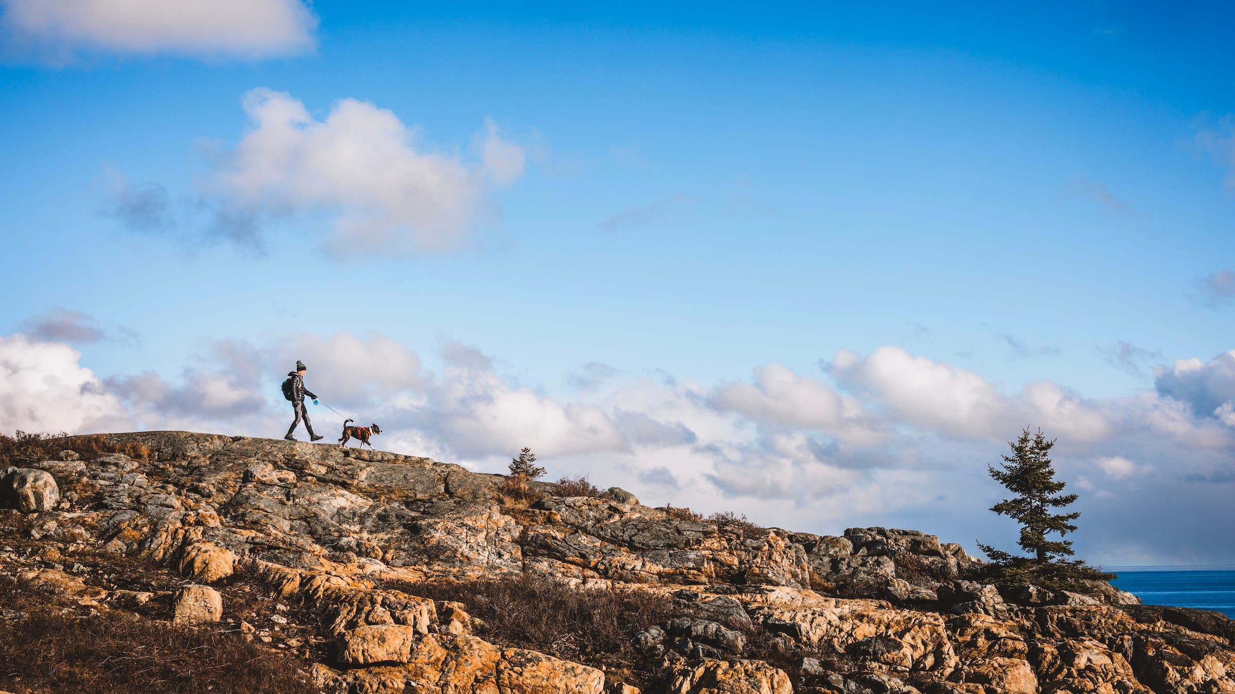 Woman walks her dog along rocky Maine coast in Acadia National Park 