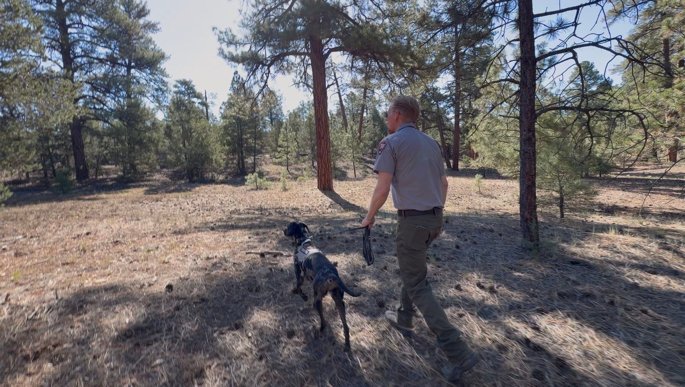 brady dunne walking blue through mather campground