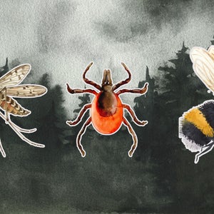 bugs on forest background