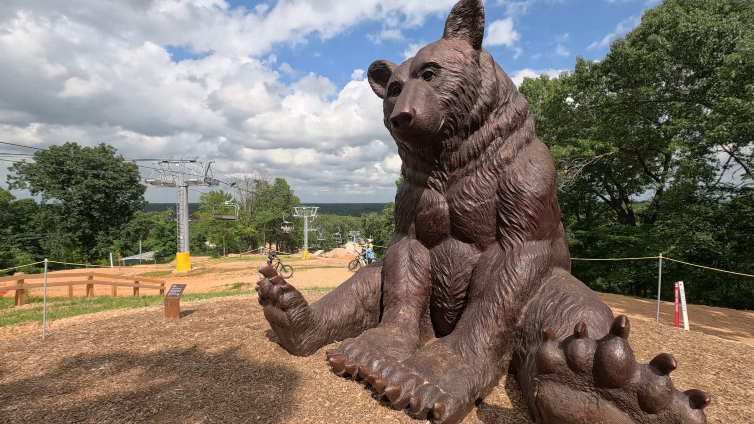 OZ Trails Bike Park Bear at summit 
