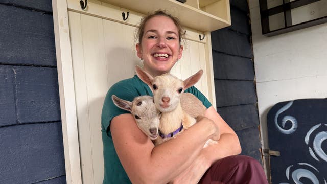 I Spent an Hour with Baby Goats to See If Animal Therapy Is Worth the Hype