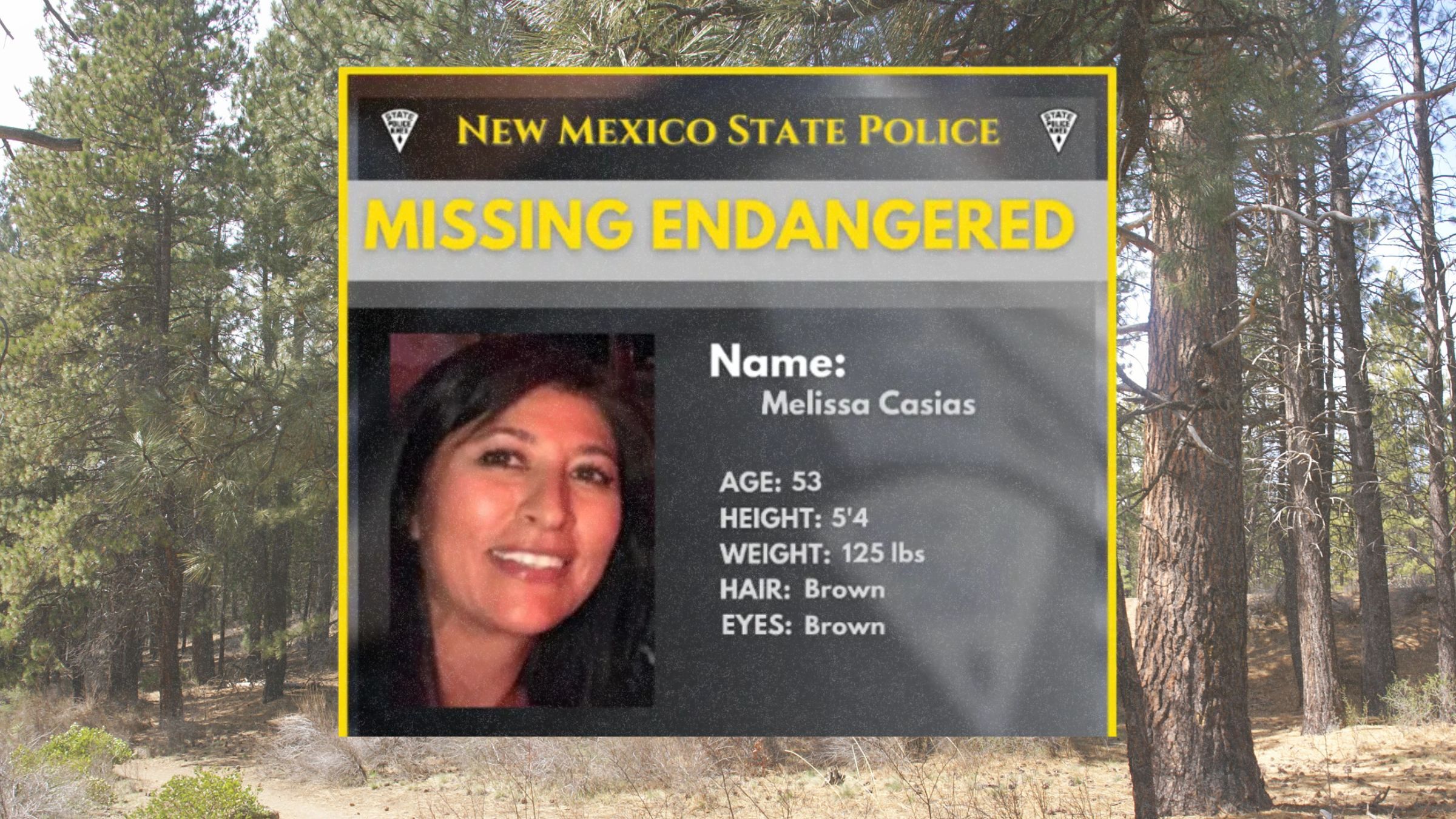 “A Grueling Search.” Inside the Case of Missing New Mexico Los Alamos Lab Worker Melissa Casias.