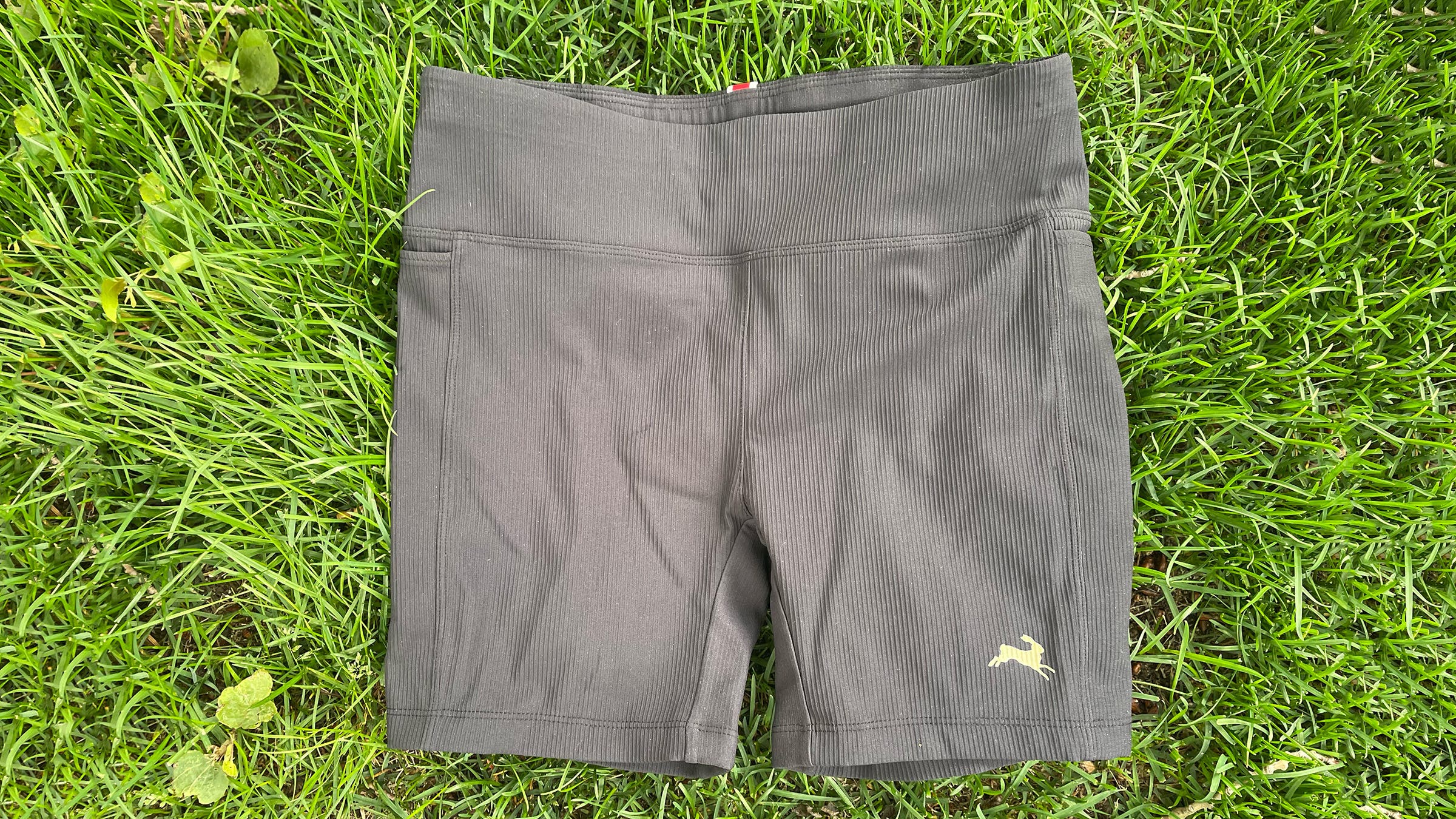 Tracksmith Twilight short running tights for women