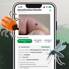 image of ticks and mosquitoes on a forest background next to the Vector Guard app screenshot