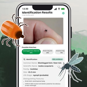 image of ticks and mosquitoes on a forest background next to the Vector Guard app screenshot