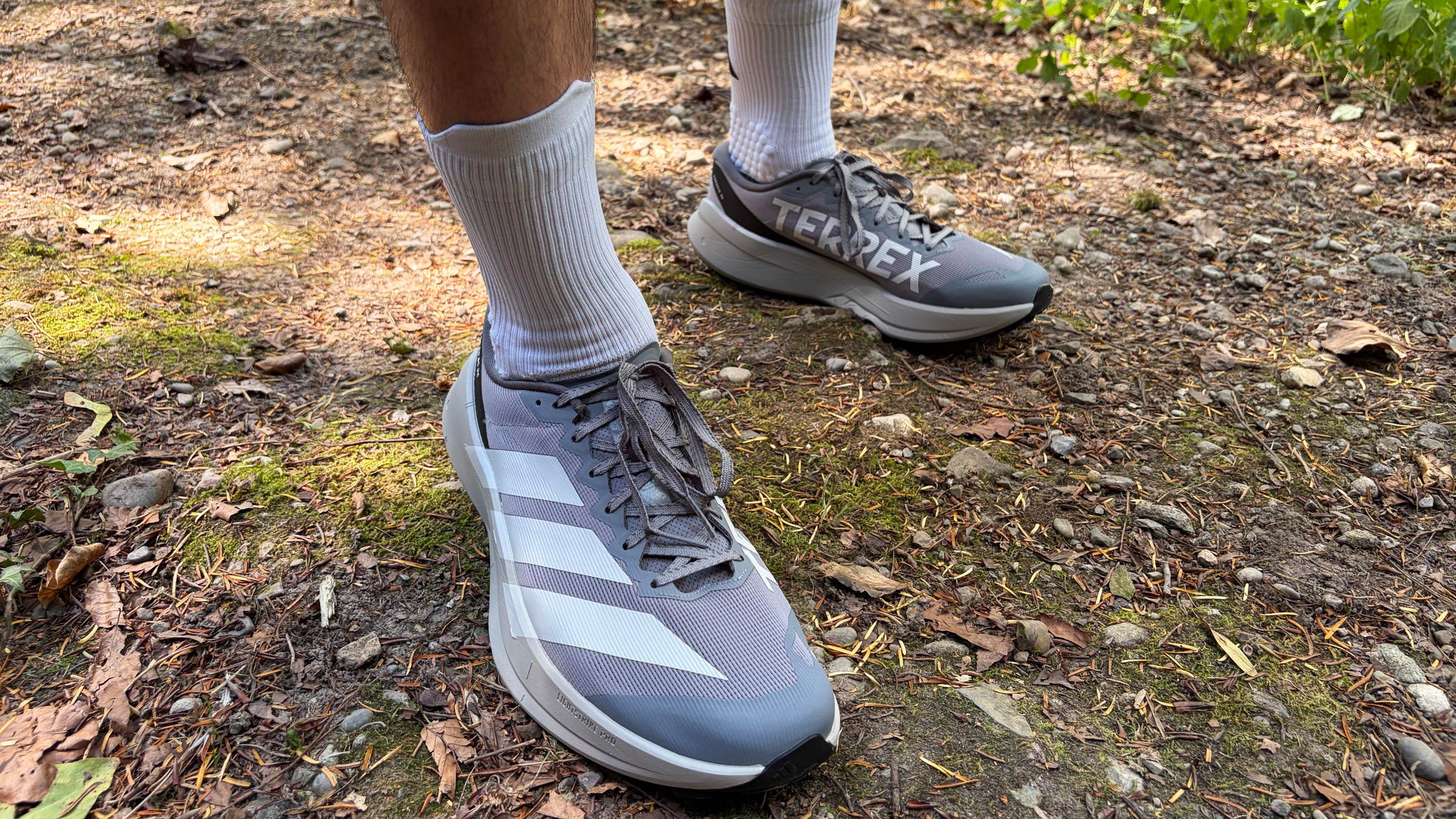 Adidas Terrex Agravic S tested on trail run