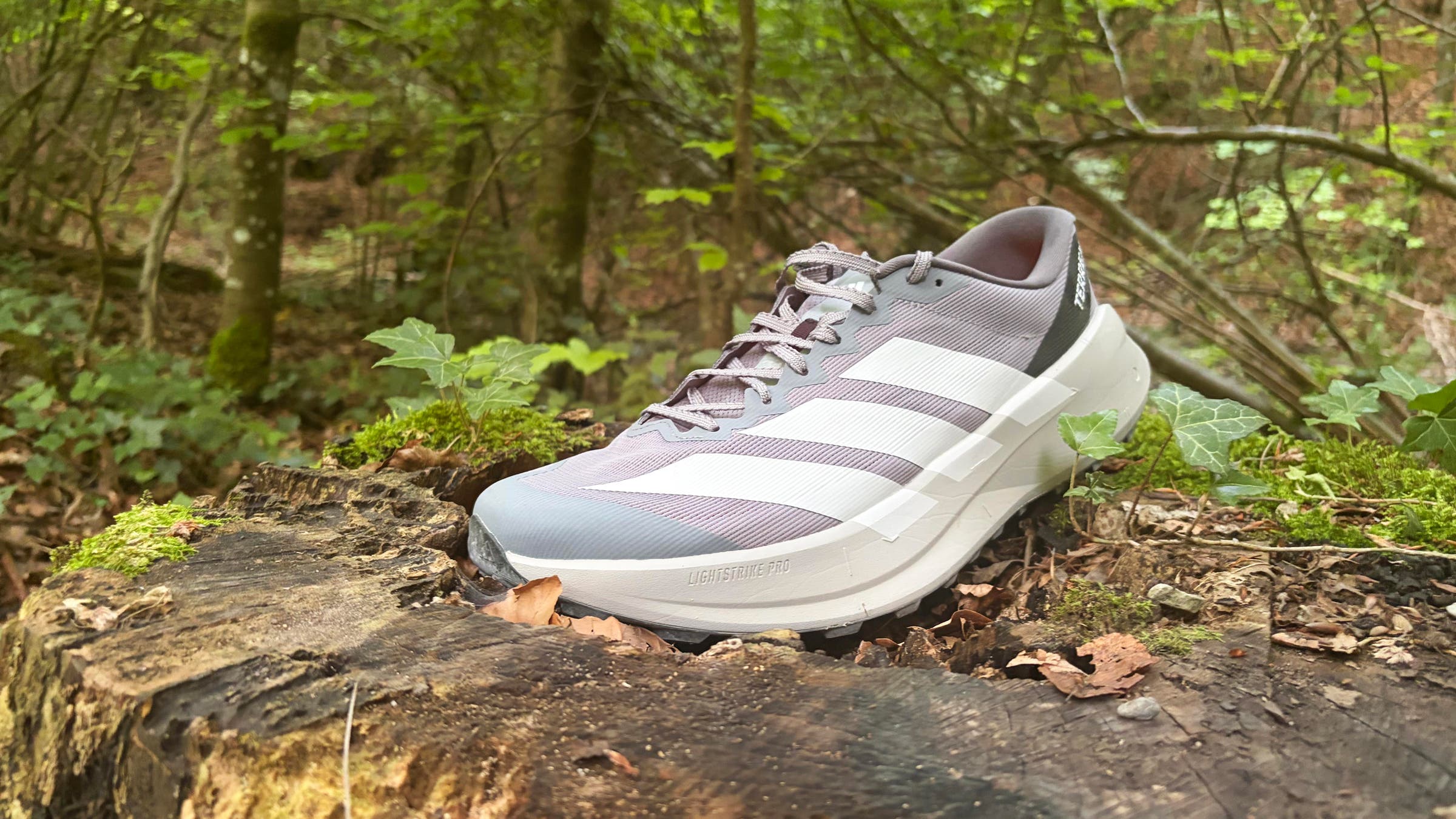 Adidas Terrex Agravic S side shot of trail run shoe