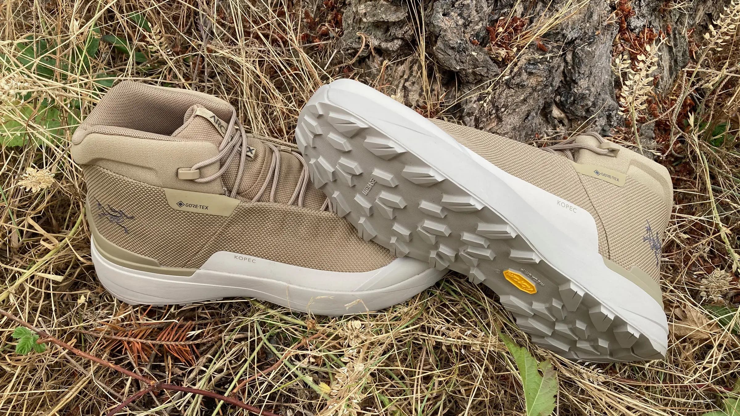 Arc'teryx Copeck Mid Hiking Boot