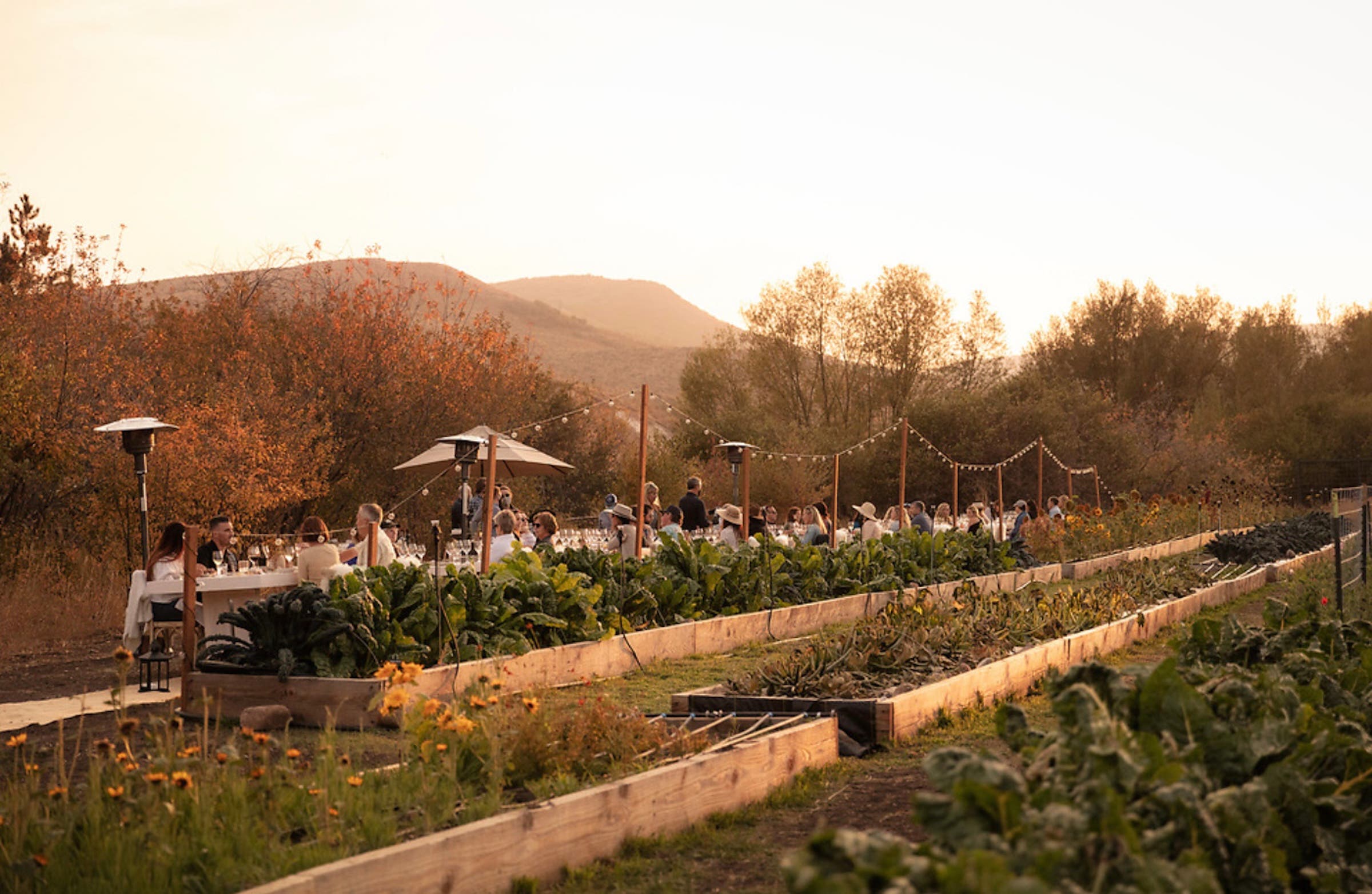 The Best Luxury Farmstays in the U.S. for an Authentic Rural Escape