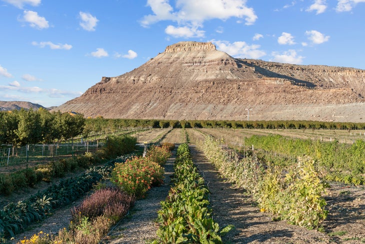 Honey Rock Landing Gardens