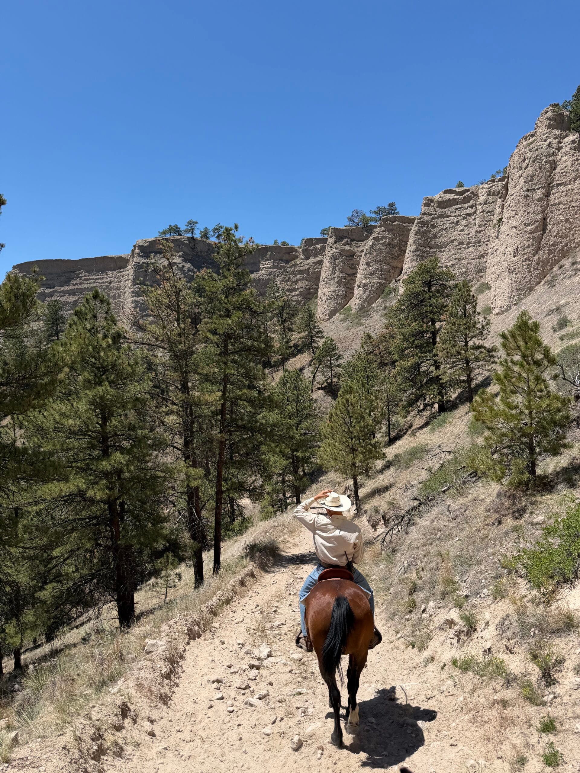Trail rides