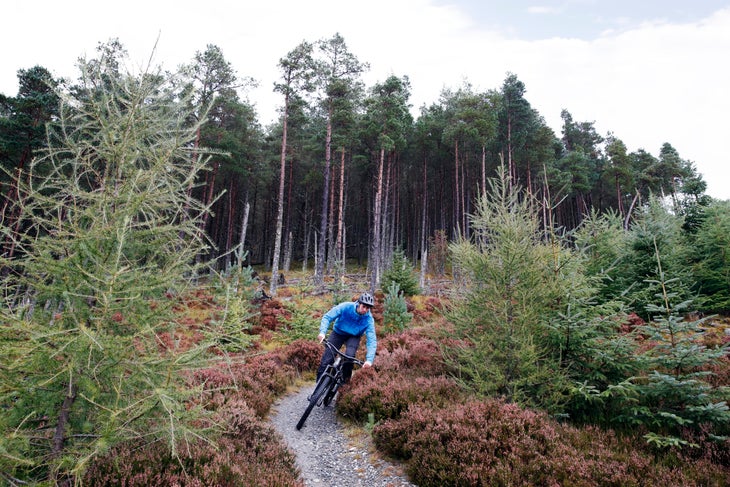 A mountain biker riding down a bike trail in the Scottish Highlands.