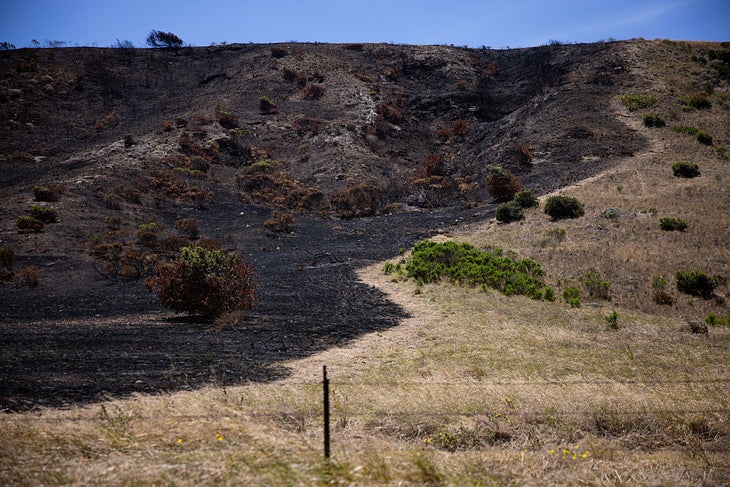 photo shows the santa rosa island burn scar